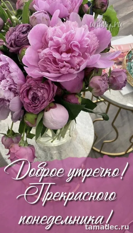Картинки доброе утро понедельника. С добрым утром понедельника картинки с пожеланиями