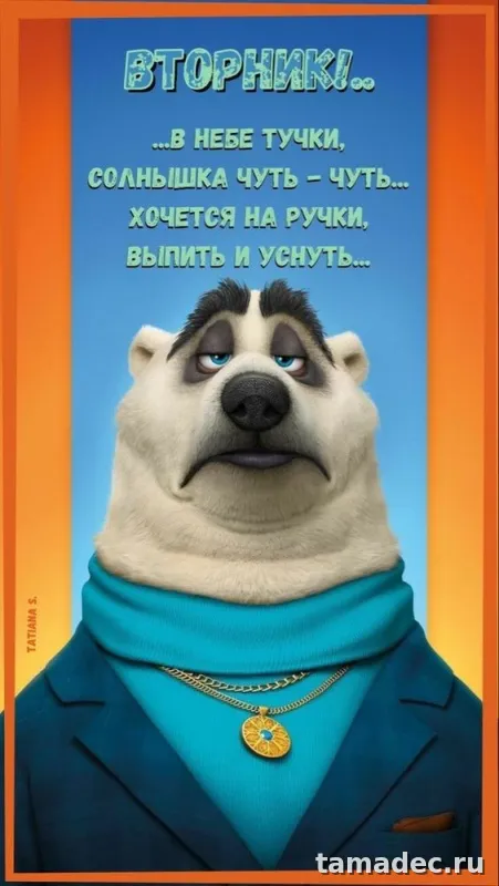 Картинки Доброго утра вторника. Прикольные картинки Доброго утра вторника
