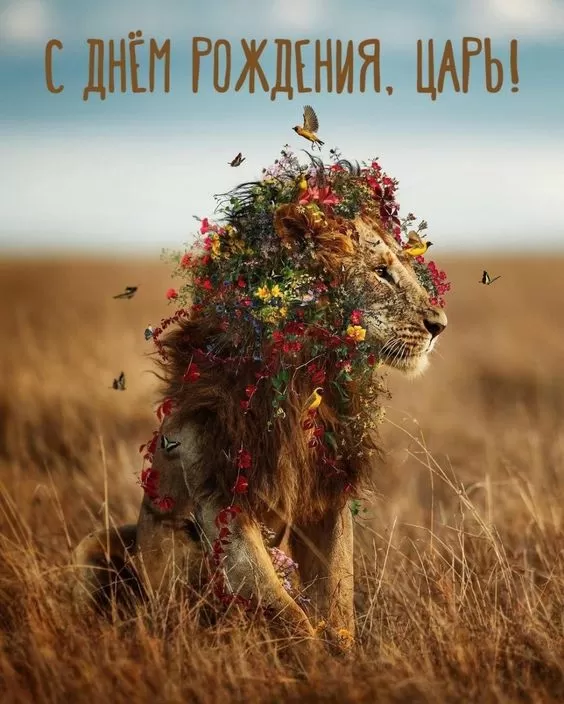 Картинки "С Днем рождения" мужчине . Красивые открытки с Днем рождения мужчине