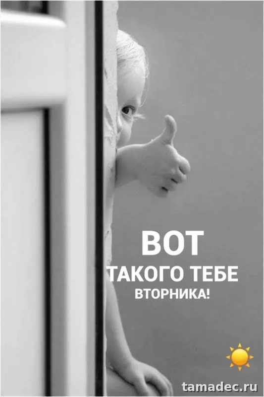 Картинки Доброго утра вторника. С добрым утром вторника - картинки с пожеланиями