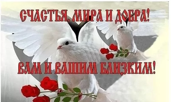 Картинки Мира и Добра с пожеланиями. Красивые картинки Мира и Добра