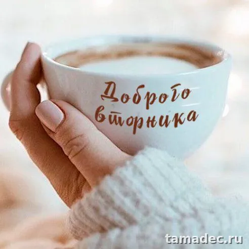 Картинки Доброго утра вторника. С добрым утром вторника - картинки с пожеланиями