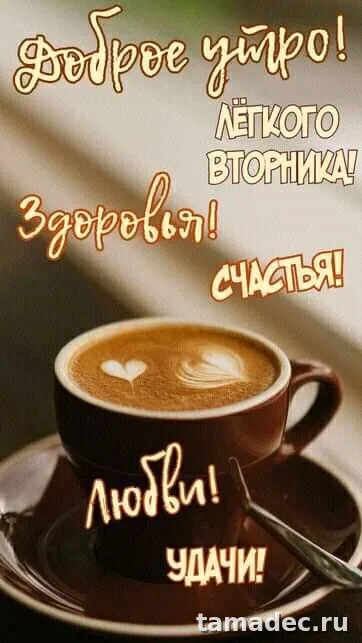 Картинки Доброго утра вторника. Прикольные картинки Доброго утра вторника