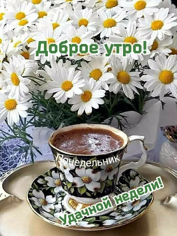 Картинки с понедельником. Доброе утро понедельника - картинки с пожеланиями