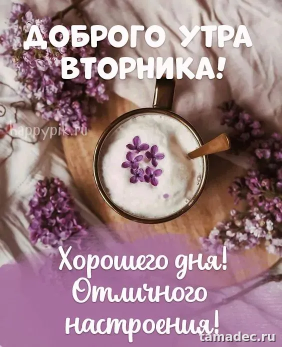 Картинки Доброго утра вторника. С добрым утром вторника - картинки с пожеланиями