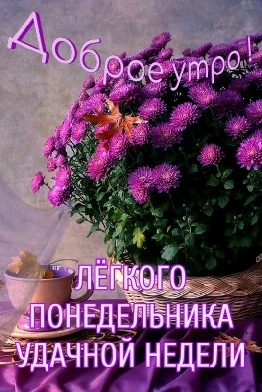 Картинки с понедельником. Доброе утро понедельника - картинки с пожеланиями