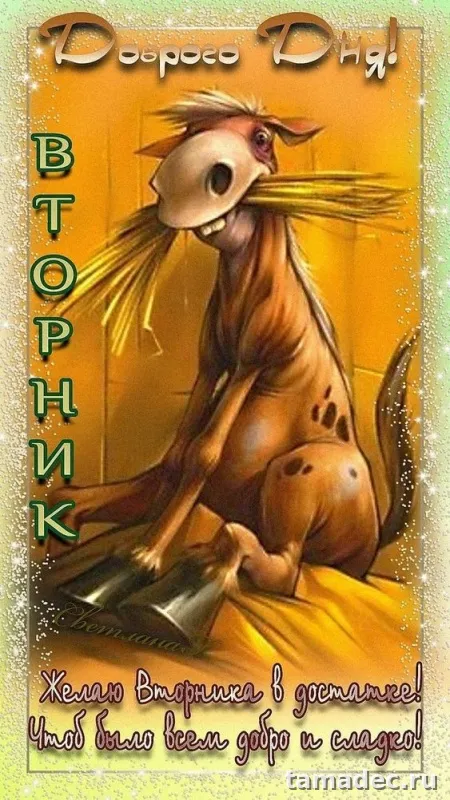 Картинки Доброго утра вторника. С добрым утром вторника - картинки с пожеланиями