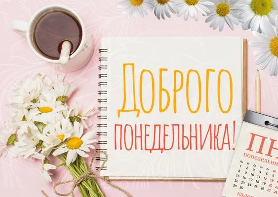 Картинки с понедельником. Красивые картинки С понедельником!