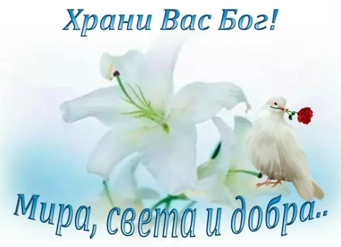 Картинки Мира и Добра с пожеланиями. Красивые картинки Мира и Добра