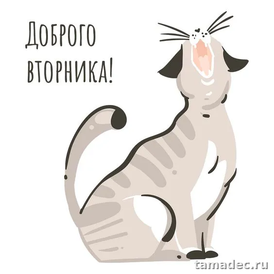 Картинки Доброго утра вторника. С добрым утром вторника - картинки с пожеланиями