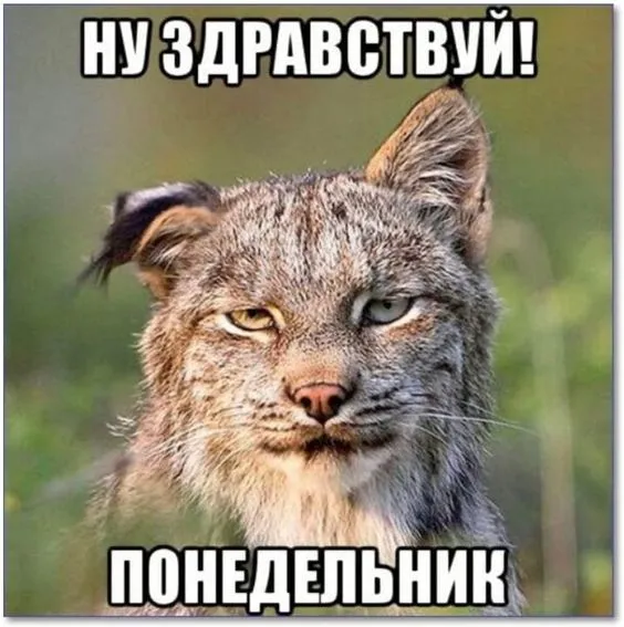 Картинки с понедельником. Красивые картинки С понедельником!