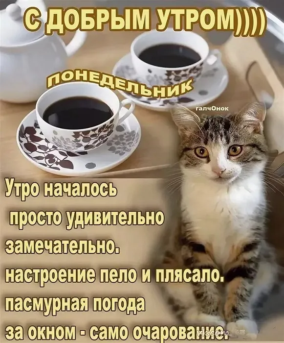 Картинки с понедельником. Доброе утро понедельника - картинки с пожеланиями