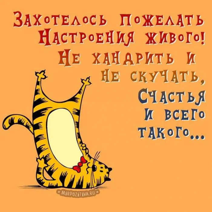 Картинки с понедельником. Доброе утро понедельника - картинки с пожеланиями