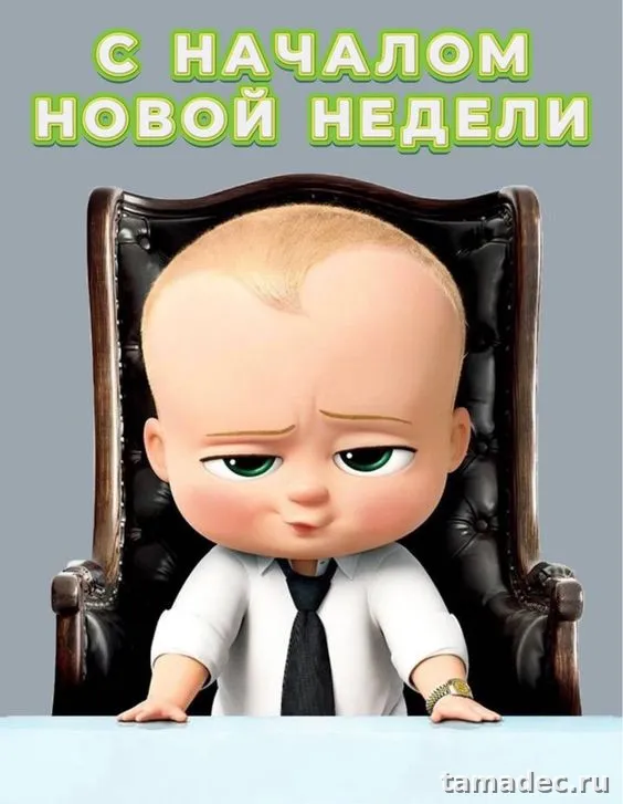 Картинки доброе утро понедельника. Красивые и прикольные картинки с Добрым утром понедельника