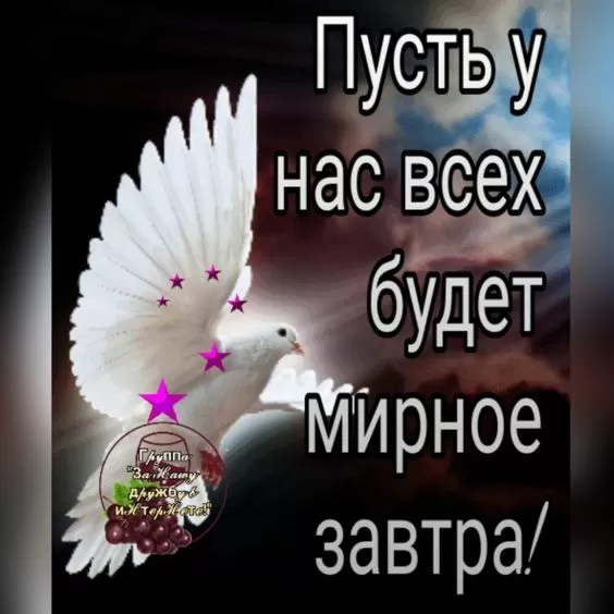 Картинки Мира и Добра с пожеланиями. Красивые картинки Мира и Добра