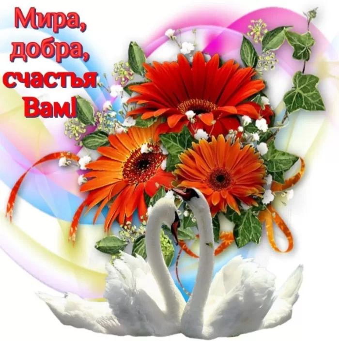 Картинки Мира и Добра с пожеланиями. Мира и добра - картинки с пожеланиями