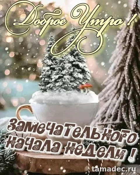 Картинки доброе утро понедельника. Красивые и прикольные картинки с Добрым утром понедельника