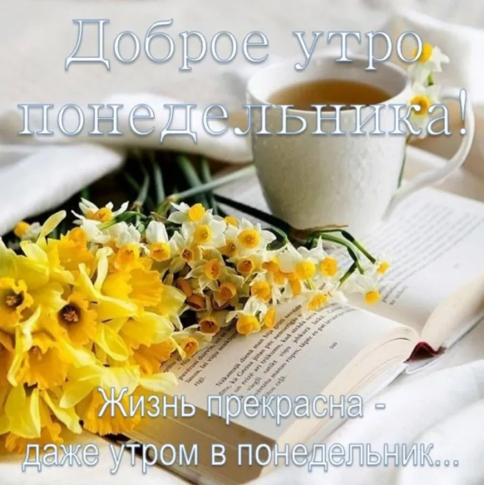 Картинки с понедельником. Доброе утро понедельника - картинки с пожеланиями