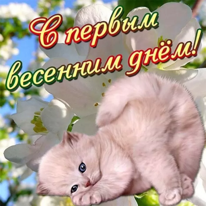 Картинки и гифки с Первым днем весны. С Первым днем весны -картинки с пожеланиями