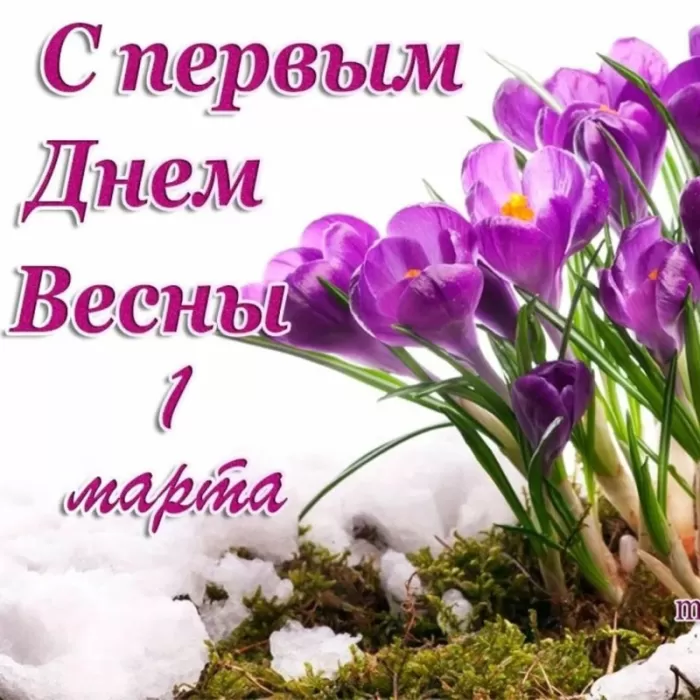 Картинки и гифки с Первым днем весны. С Первым днем весны -картинки с пожеланиями