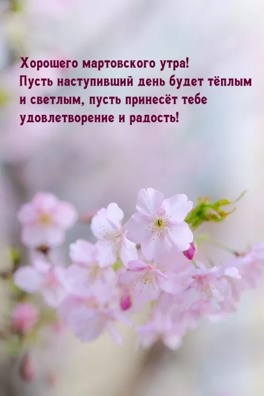 Красивые картинки и гифки Доброе утро марта. Доброе утро марта - картинки с пожеланиями