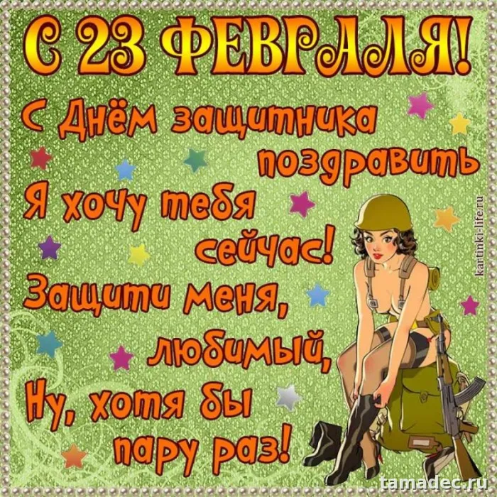 Прикольные картинки с поздравлениями на 23 февраля. Прикольные картинки на 23 февраля с девушками