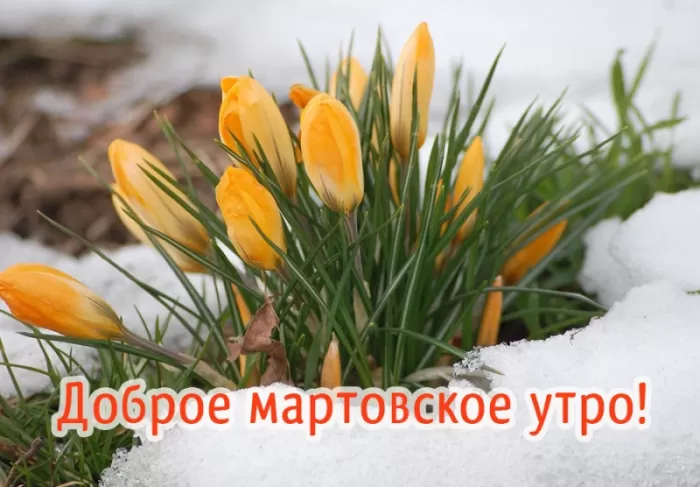 Красивые картинки и гифки Доброе утро марта. Красивые картинки Доброе утро марта