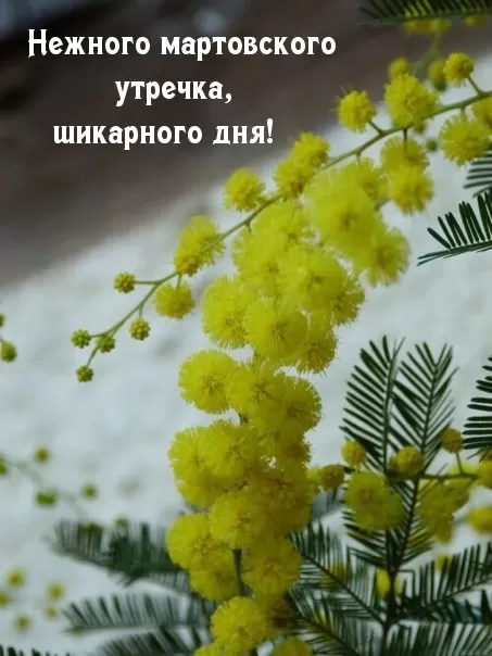 Красивые картинки и гифки Доброе утро марта. Доброе утро марта - картинки с пожеланиями