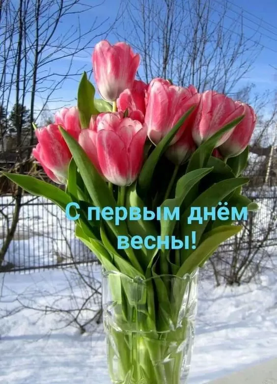 Картинки и гифки с Первым днем весны. Красивые картинки с Первым днем весны