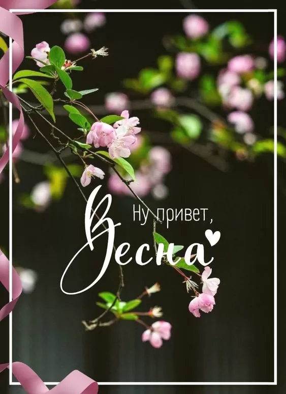Картинки и гифки с Первым днем весны. Красивые картинки с Первым днем весны