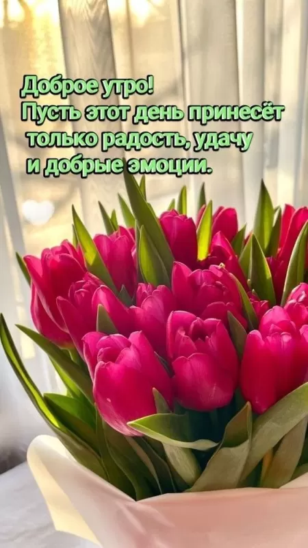 Красивые картинки и гифки Доброе утро марта. Красивые картинки Доброе утро марта