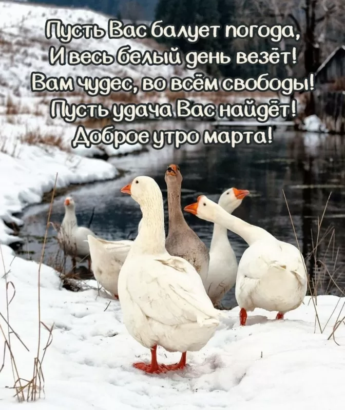 Красивые картинки и гифки Доброе утро марта. Красивые картинки Доброе утро марта