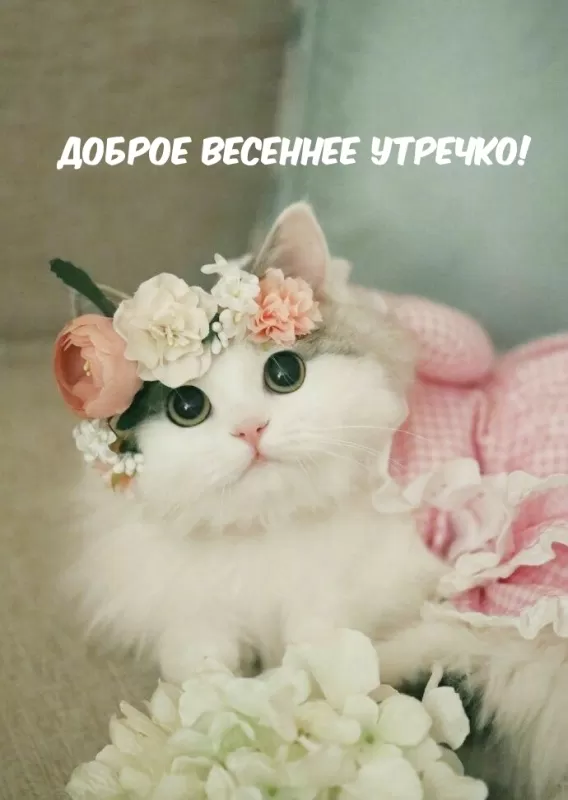 Красивые картинки Доброго весеннего утра. Красивые картинки Доброе весеннее утро