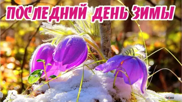Прикольные картинки Последний день зимы. Последний день зимы - картинки с пожеланиями