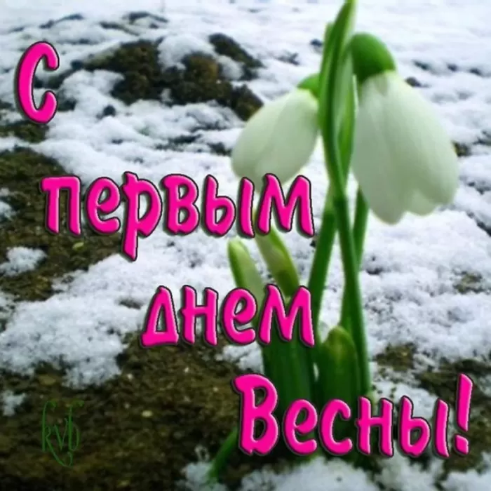 Красивые картинки с 1 марта. С 1 марта (с началом весны) - картинки с пожеланиями