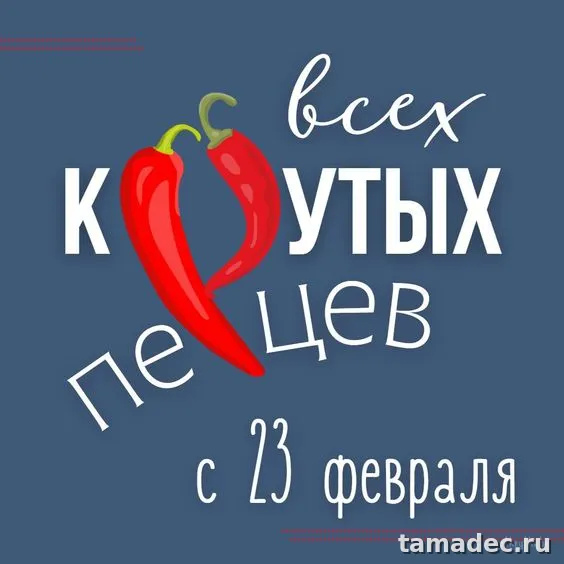 Прикольные картинки с поздравлениями на 23 февраля. С 23 февраля - прикольные картинки и открытки