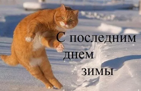 Прикольные картинки Последний день зимы. Прикольные картинки с последним днем зимы