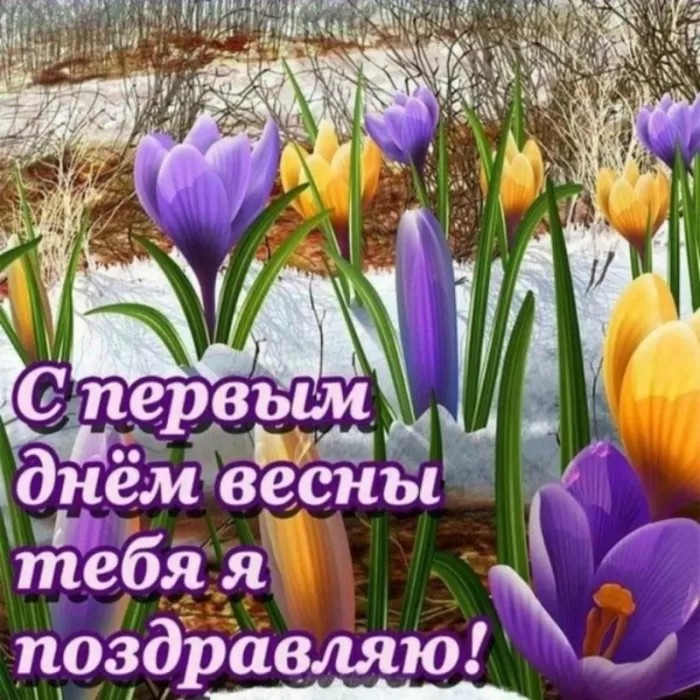 Красивые картинки с 1 марта. С 1 марта (с началом весны) - картинки с пожеланиями