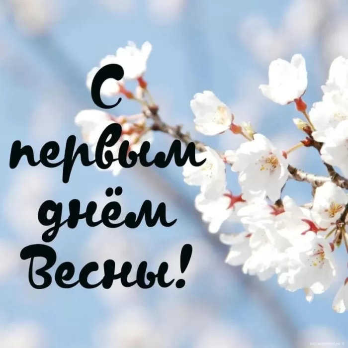 Красивые картинки с 1 марта. С 1 марта (с началом весны) - картинки с пожеланиями