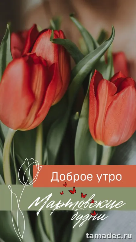 Картинки с Добрым мартовским утром. Картинки с Добрым мартовским утром