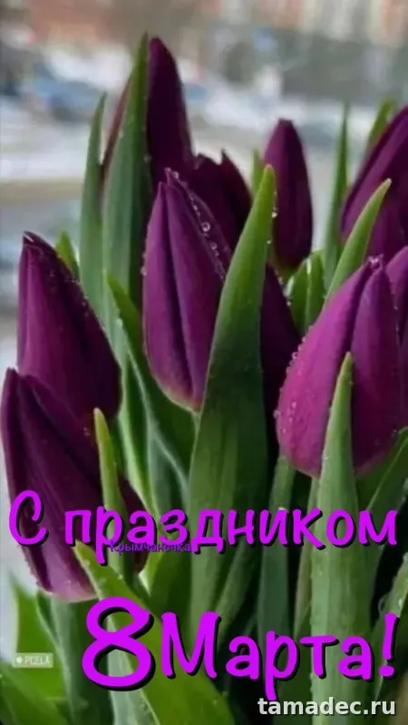 Прикольные и красивые картинки с 8 марта. С 8 марта - картинки с пожеланиями
