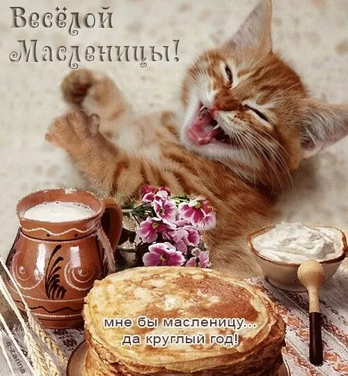Открытки и картинки с Масленицей . Прикольные и веселые картинки с Масленицей