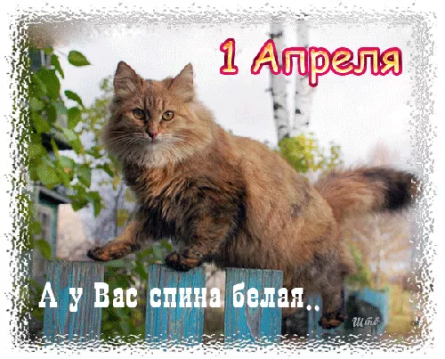Прикольные картинки с 1 апреля. Картинки С Днем смеха 1 апреля&nbsp;