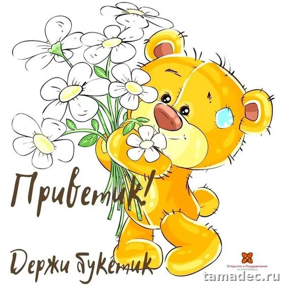 Прикольные и красивые картинки "Привет". Прикольные картинки с надписью Привет