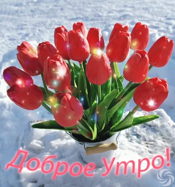 Красивые картинки Доброго весеннего утра . Гифки Доброе весеннее утро