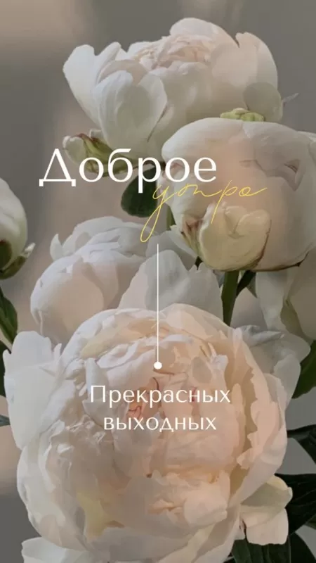 Картинки "Хороших и отличных выходных" . Красивые картинки "Хороших выходных"