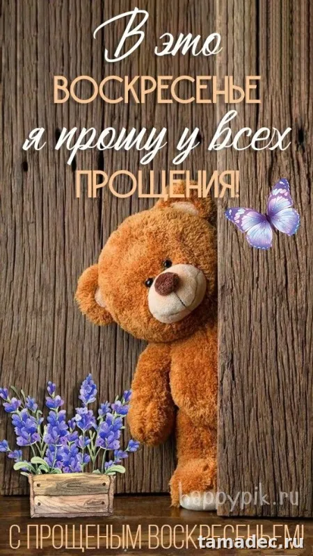 4 картинки «Прости меня» — скачать и отправить. Картинки Прости меня