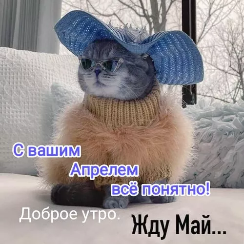 Прикольные картинки с 1 апреля. Картинки С Днем смеха 1 апреля&nbsp;