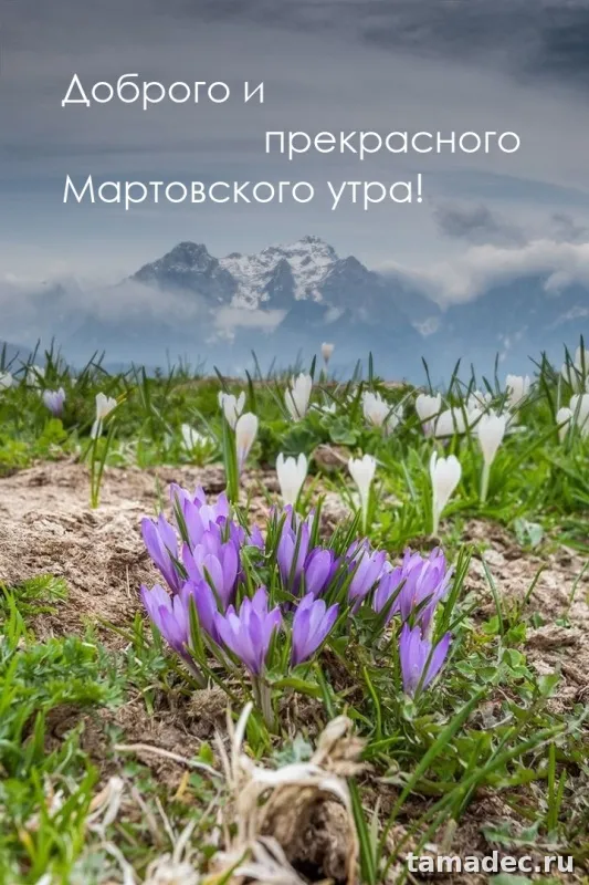 Картинки с Добрым мартовским утром. Картинки с Добрым мартовским утром