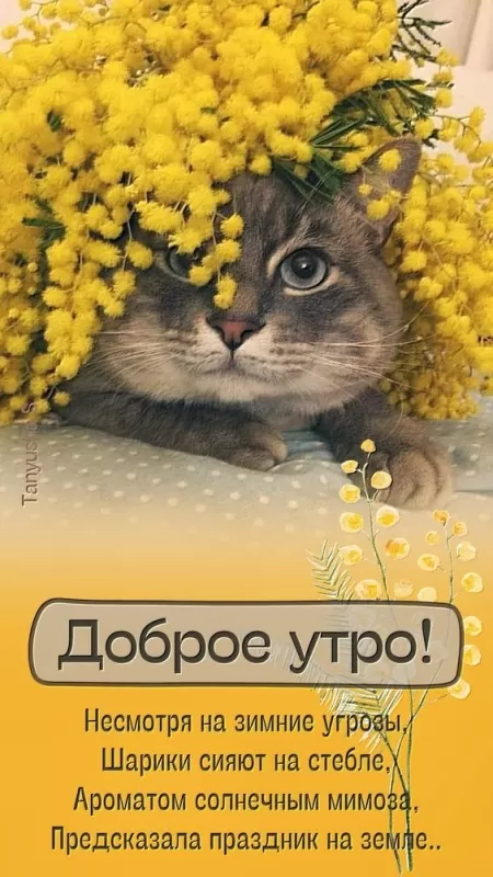 Красивые картинки Доброго весеннего утра . Доброго весеннего утра - картинки с пожеланиями